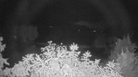 Archiv Foto Webcam Blick auf den Fuschlsee von Ebners Waldhof 01:00