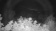 Archiv Foto Webcam Blick auf den Fuschlsee von Ebners Waldhof 23:00