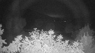 Archiv Foto Webcam Blick auf den Fuschlsee von Ebners Waldhof 01:00