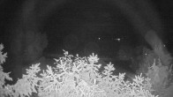 Archived image Webcam View Lake Fuschlsee 23:00