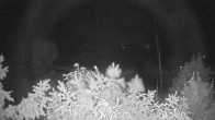 Archiv Foto Webcam Blick auf den Fuschlsee von Ebners Waldhof 01:00