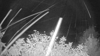 Archiv Foto Webcam Blick auf den Fuschlsee von Ebners Waldhof 03:00