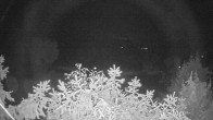 Archiv Foto Webcam Blick auf den Fuschlsee von Ebners Waldhof 23:00