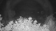 Archiv Foto Webcam Blick auf den Fuschlsee von Ebners Waldhof 01:00