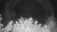 Archiv Foto Webcam Blick auf den Fuschlsee von Ebners Waldhof 01:00