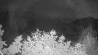Archiv Foto Webcam Blick auf den Fuschlsee von Ebners Waldhof 03:00