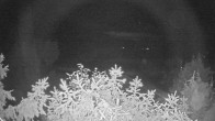 Archiv Foto Webcam Blick auf den Fuschlsee von Ebners Waldhof 23:00