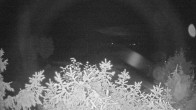 Archived image Webcam View Lake Fuschlsee 01:00