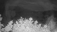 Archiv Foto Webcam Blick auf den Fuschlsee von Ebners Waldhof 03:00