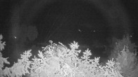 Archiv Foto Webcam Blick auf den Fuschlsee von Ebners Waldhof 01:00