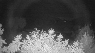 Archiv Foto Webcam Blick auf den Fuschlsee von Ebners Waldhof 03:00