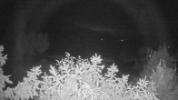 Archiv Foto Webcam Blick auf den Fuschlsee von Ebners Waldhof 23:00
