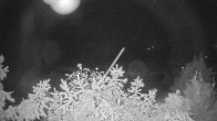 Archiv Foto Webcam Blick auf den Fuschlsee von Ebners Waldhof 23:00