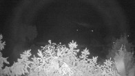 Archiv Foto Webcam Blick auf den Fuschlsee von Ebners Waldhof 01:00