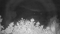 Archiv Foto Webcam Blick auf den Fuschlsee von Ebners Waldhof 03:00