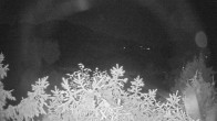 Archiv Foto Webcam Blick auf den Fuschlsee von Ebners Waldhof 01:00