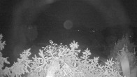 Archiv Foto Webcam Blick auf den Fuschlsee von Ebners Waldhof 03:00