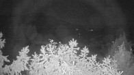 Archiv Foto Webcam Blick auf den Fuschlsee von Ebners Waldhof 03:00