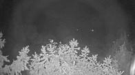 Archiv Foto Webcam Blick auf den Fuschlsee von Ebners Waldhof 01:00