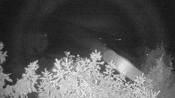 Archiv Foto Webcam Blick auf den Fuschlsee von Ebners Waldhof 23:00