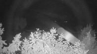 Archiv Foto Webcam Blick auf den Fuschlsee von Ebners Waldhof 01:00