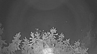 Archiv Foto Webcam Blick auf den Fuschlsee von Ebners Waldhof 23:00
