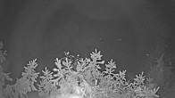 Archiv Foto Webcam Blick auf den Fuschlsee von Ebners Waldhof 01:00