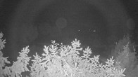 Archiv Foto Webcam Blick auf den Fuschlsee von Ebners Waldhof 03:00