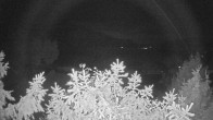Archiv Foto Webcam Blick auf den Fuschlsee von Ebners Waldhof 01:00