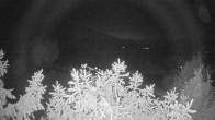 Archiv Foto Webcam Blick auf den Fuschlsee von Ebners Waldhof 23:00
