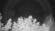 Archiv Foto Webcam Blick auf den Fuschlsee von Ebners Waldhof 18:00