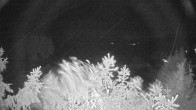 Archiv Foto Webcam Blick auf den Fuschlsee von Ebners Waldhof 03:00