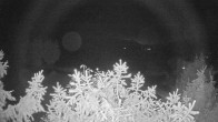 Archiv Foto Webcam Blick auf den Fuschlsee von Ebners Waldhof 03:00