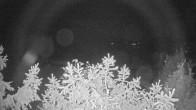 Archiv Foto Webcam Blick auf den Fuschlsee von Ebners Waldhof 23:00