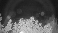 Archiv Foto Webcam Blick auf den Fuschlsee von Ebners Waldhof 01:00