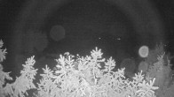 Archiv Foto Webcam Blick auf den Fuschlsee von Ebners Waldhof 03:00