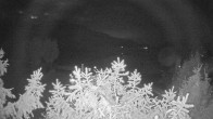 Archiv Foto Webcam Blick auf den Fuschlsee von Ebners Waldhof 23:00
