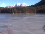 Archiv Foto Webcam Blick auf den Hintersee in Ramsau bei Berchtesgaden 13:00