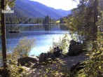 Archiv Foto Webcam Luitpoldweg am Hintersee in Ramsau bei Berchtesgaden 15:00