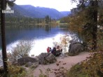 Archiv Foto Webcam Luitpoldweg am Hintersee in Ramsau bei Berchtesgaden 15:00