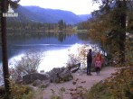 Archiv Foto Webcam Luitpoldweg am Hintersee in Ramsau bei Berchtesgaden 17:00