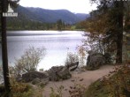 Archived image Webcam Luitpoldweg at lake Hintersee near Ramsau 09:00