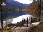 Archiv Foto Webcam Luitpoldweg am Hintersee in Ramsau bei Berchtesgaden 09:00
