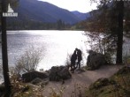 Archiv Foto Webcam Luitpoldweg am Hintersee in Ramsau bei Berchtesgaden 13:00