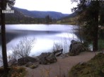 Archiv Foto Webcam Luitpoldweg am Hintersee in Ramsau bei Berchtesgaden 15:00