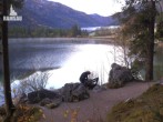 Archiv Foto Webcam Luitpoldweg am Hintersee in Ramsau bei Berchtesgaden 05:00