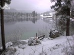 Archiv Foto Webcam Luitpoldweg am Hintersee in Ramsau bei Berchtesgaden 08:00