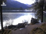 Archiv Foto Webcam Luitpoldweg am Hintersee in Ramsau bei Berchtesgaden 10:00