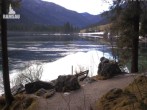 Archiv Foto Webcam Luitpoldweg am Hintersee in Ramsau bei Berchtesgaden 11:00