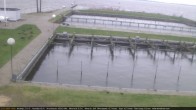 Archived image Webcam Lembruch: View Sailing Club Duemmer 13:00